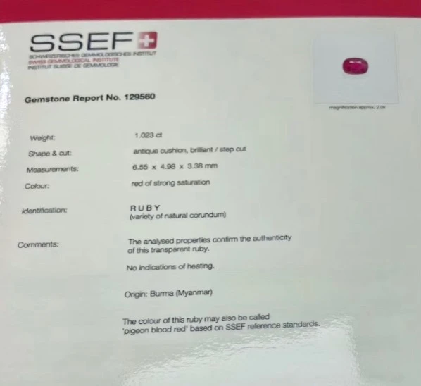 國際證書真偽難辨(上)?古柏林、SSEF、GIA三大權威證書,教你如何識破假證書 - 第3張圖 SSEF證書