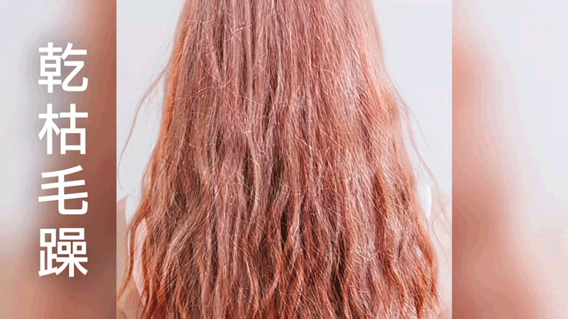 p2.gif