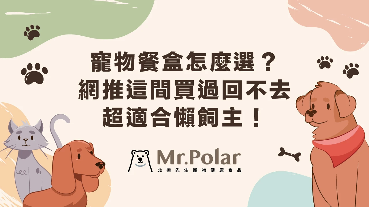 寵物餐盒怎麼選？網推這間買過回不去：超適合懶飼主！