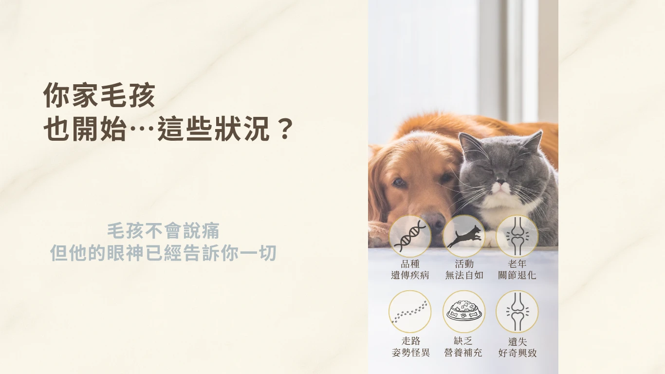 狗狗與貓咪關節不適，提示飼主注意品種遺傳疾病、活動力下降、老年關節退化、走路姿勢異常、營養缺乏與失去好奇心等早期症狀