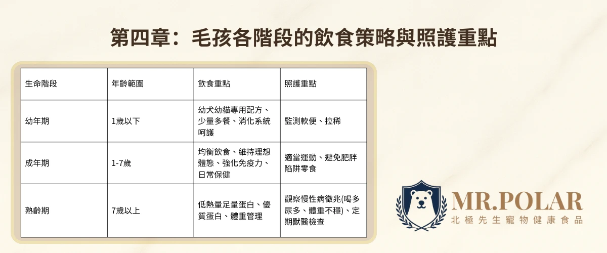 標題為「第四章：毛孩各階段的飲食策略與照護重點」，下方為一個表格，列出生命階段（幼年期、成年期、熟齡期）、年齡範圍、飲食重點與照護重點。圖片右下角有「MR.POLAR 北極先生 寵物健康食品」的品牌標誌。