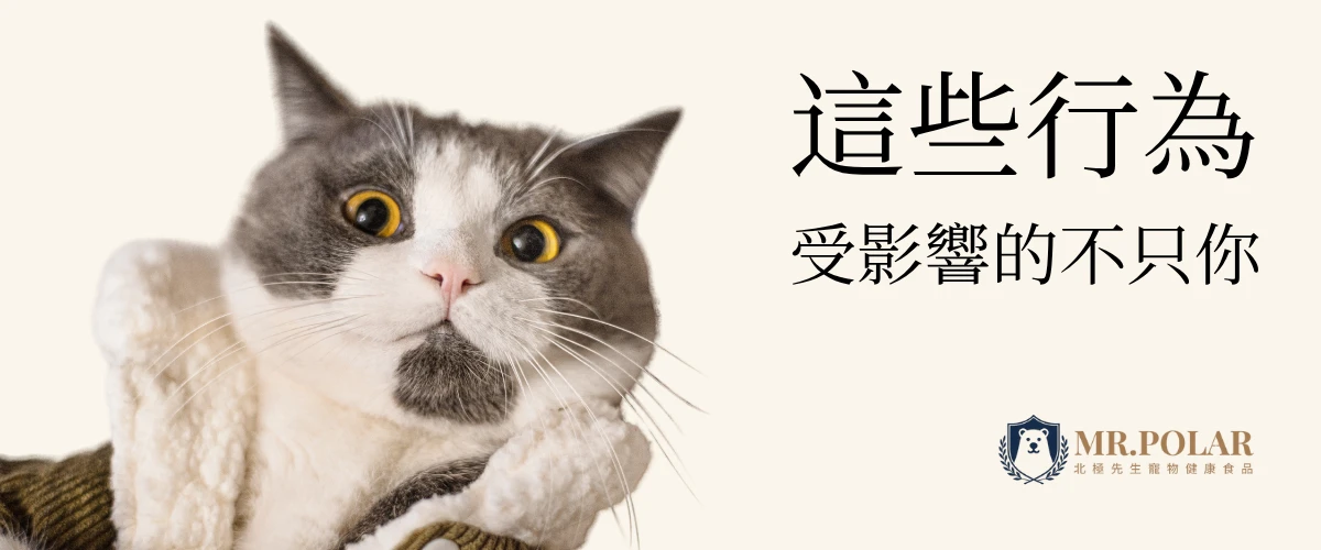 灰白色貓咪露出驚訝表情，旁邊文字寫著『這些行為受影響的不只你』，提醒飼主寵物行為與情緒的互動關係