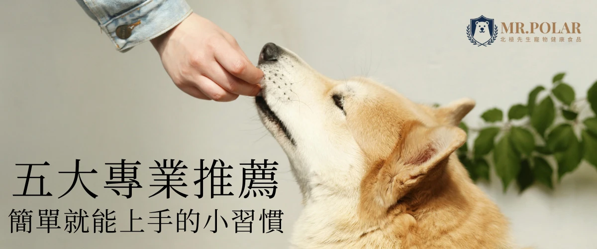 柴犬抬頭從主人手中接過零食，旁邊文字寫著『五大專業推薦，簡單就能上手的小習慣』，展示犬隻訓練與獎勵互動