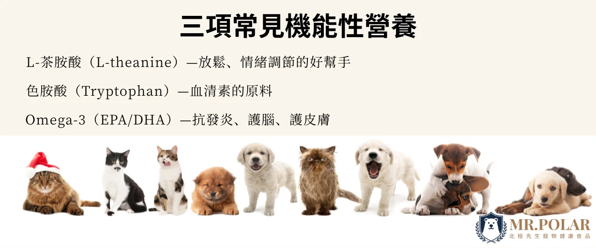 圖片顯示三項常見的機能性營養：L-茶胺酸放鬆與情緒調節、色胺酸作為血清素的原料、Omega-3抗發炎與保護大腦和皮膚，下方有多隻貓狗坐在一起