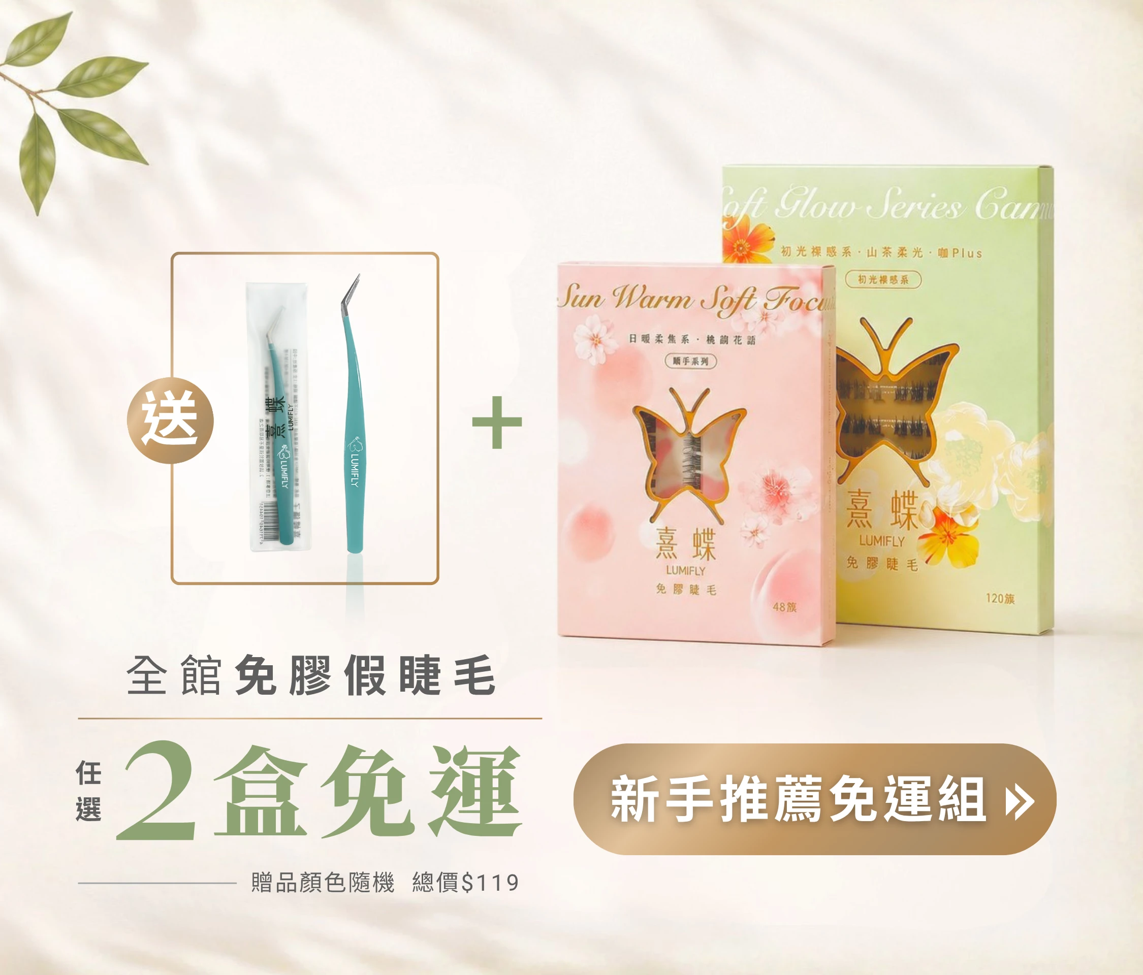 首圖 1-2盒