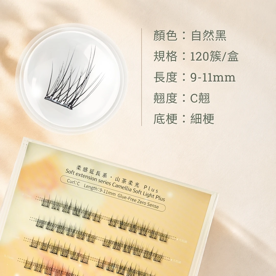 山茶柔光Plus 4