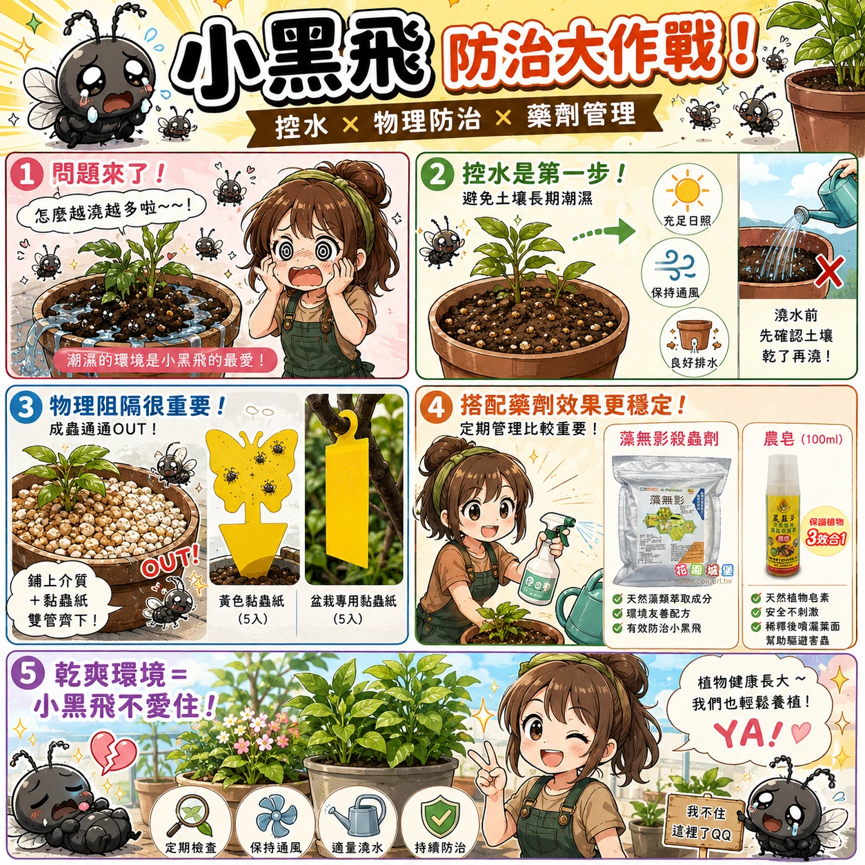 小黑飛防治大作戰