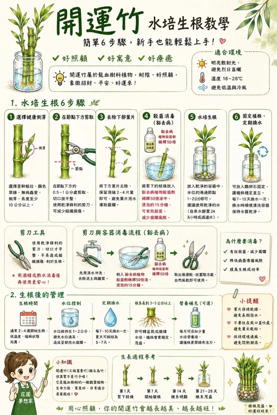 開運竹水培指南