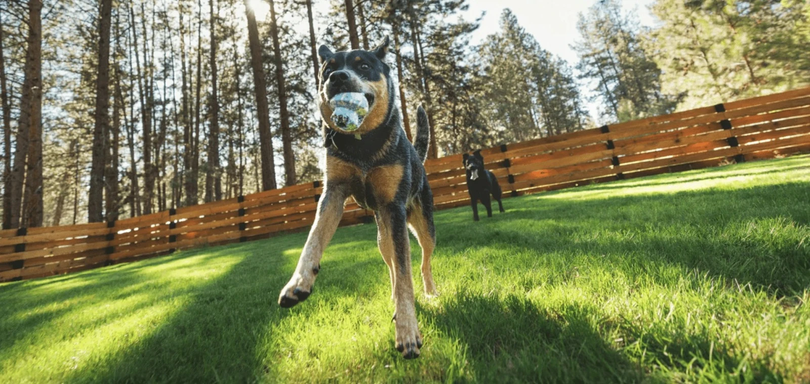 RUFFWEAR 狗玩具