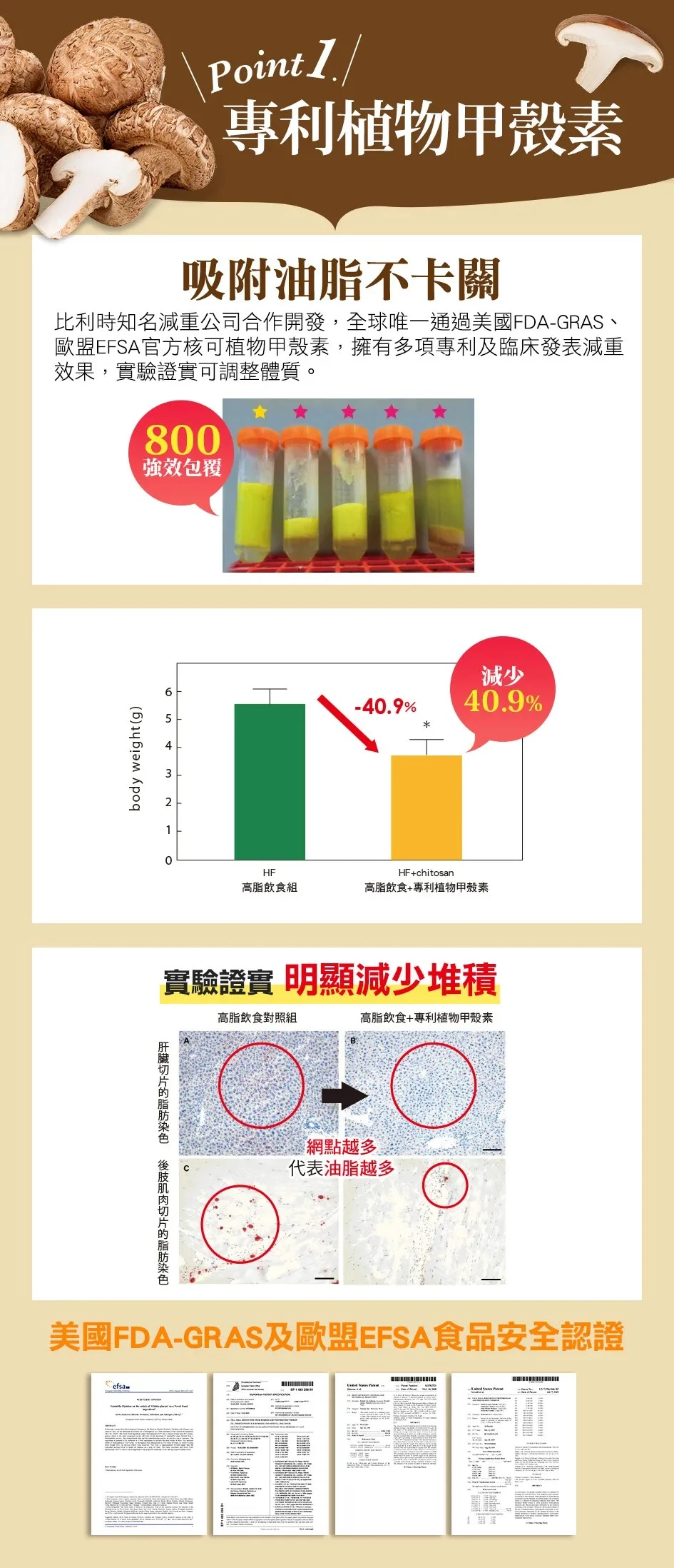 甲殼素有經多項測試可調整體質