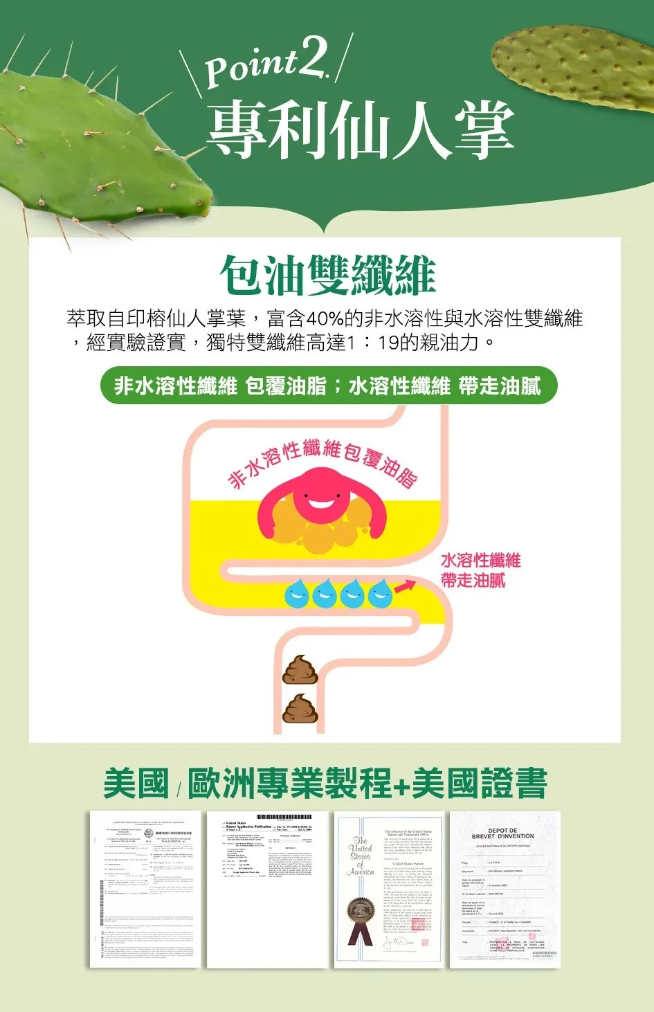 專利仙人掌有富含40%的非水溶性和水溶性雙纖維