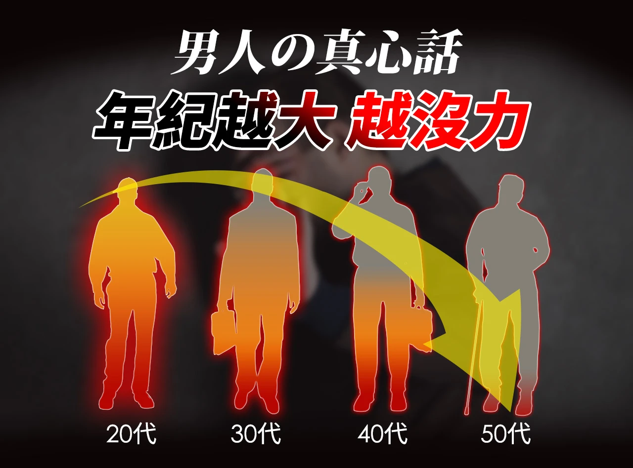 船井活力瑪卡王