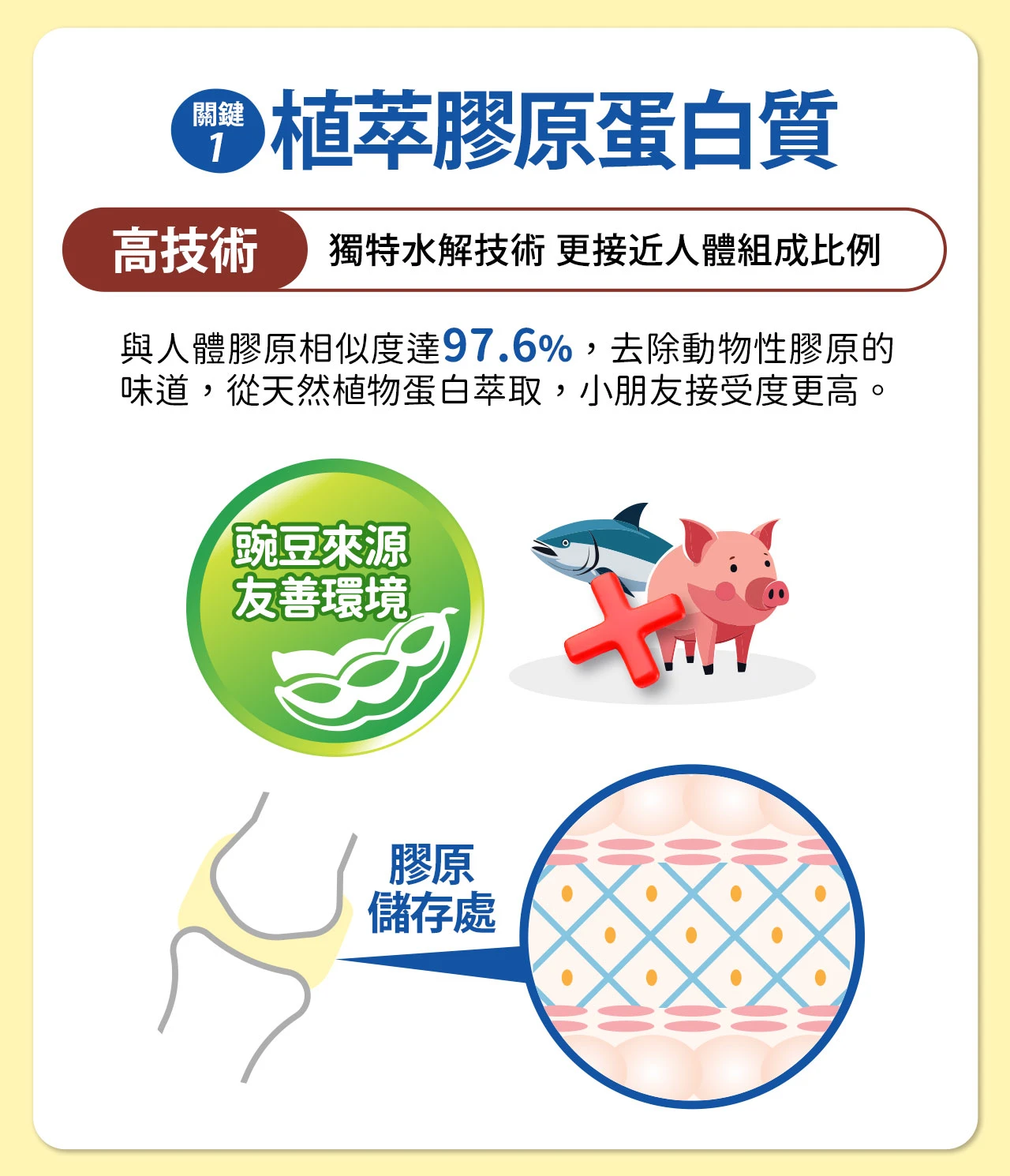 牛奶鈣膠原成長凍,成長,長高